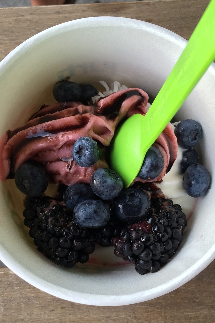 Blueberry and Blackberry Frozen Yogurt Recipe